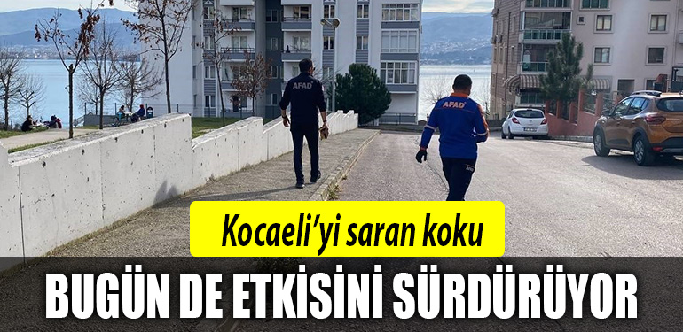kocaeli koku