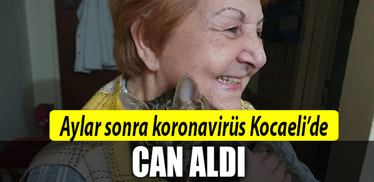 kocaeli koronavirugs