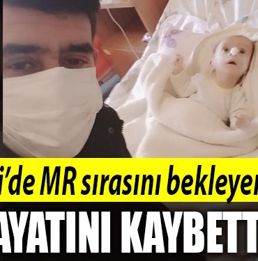 kocaeli mr