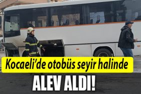 kocaeli otobus
