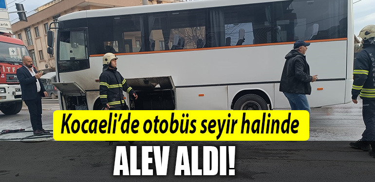 kocaeli otobus