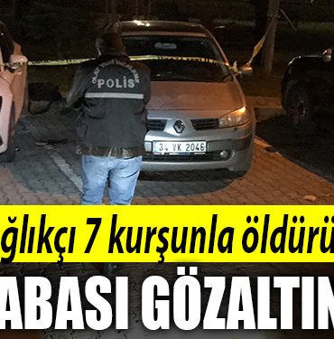kocaeli sagliki