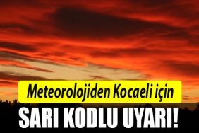 kocaeli sari kodlu uyari