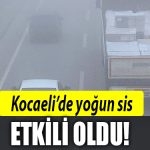 kocaeli sis