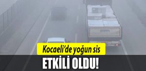 kocaeli sis