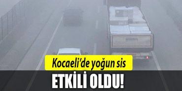 kocaeli sis