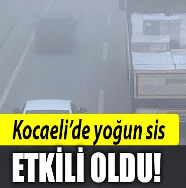 kocaeli sis