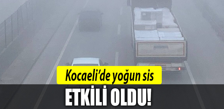 kocaeli sis