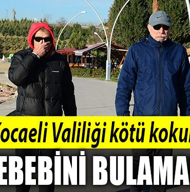 kocaeli valiligi