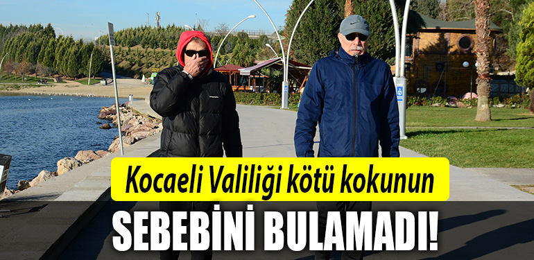 kocaeli valiligi