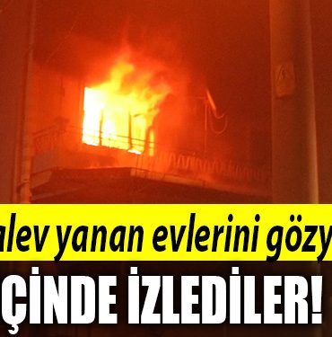 kocaeli yangin 4