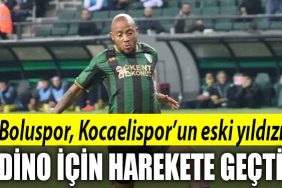 kocaelispor dino