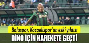 kocaelispor dino