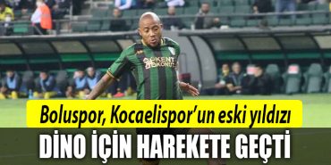kocaelispor dino