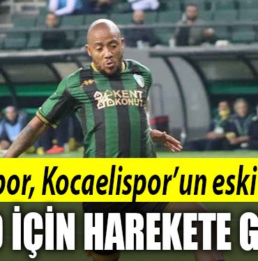 kocaelispor dino