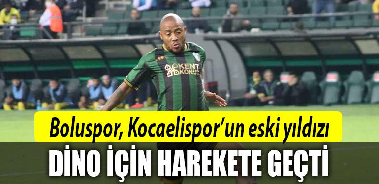 kocaelispor dino