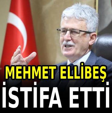 korkusuz yeni