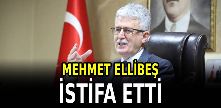 korkusuz yeni
