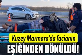 kuzey marmara facia