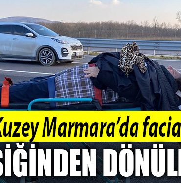 kuzey marmara facia