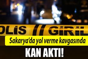 sakarya kavga