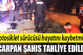 sakarya kaza 1