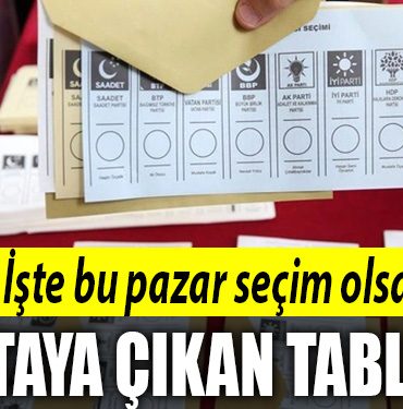 secim anket