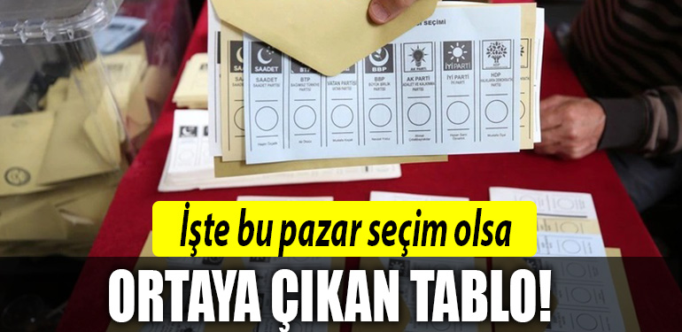 secim anket