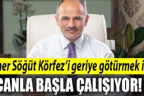 sener sogut korfez