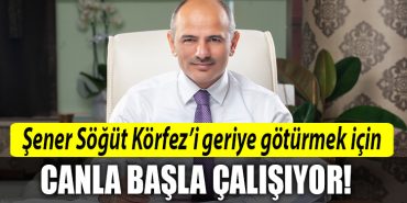 sener sogut korfez