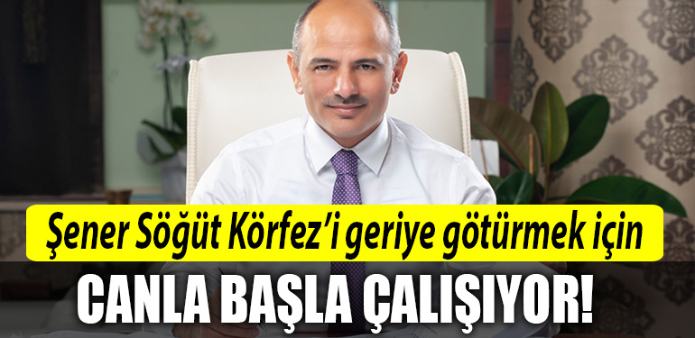 sener sogut korfez