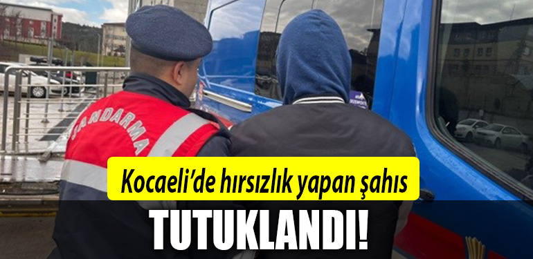 KOCAELI HIRSIZ