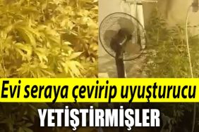 Kocaeli de evi seraya cevirip uyusturucu yetistirmisler 1