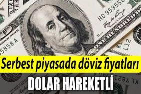 Serbest piyasada doviz fiyatlari