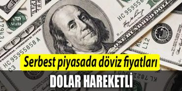 Serbest piyasada doviz fiyatlari