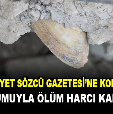 deniz kumu