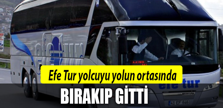 efe tur kocaeli