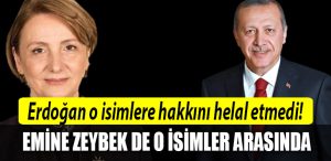 emine zeybek erdogan