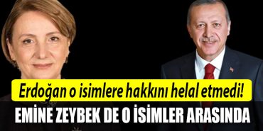 emine zeybek erdogan