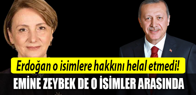 emine zeybek erdogan