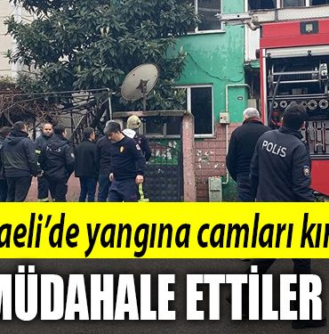 kocaeli 2