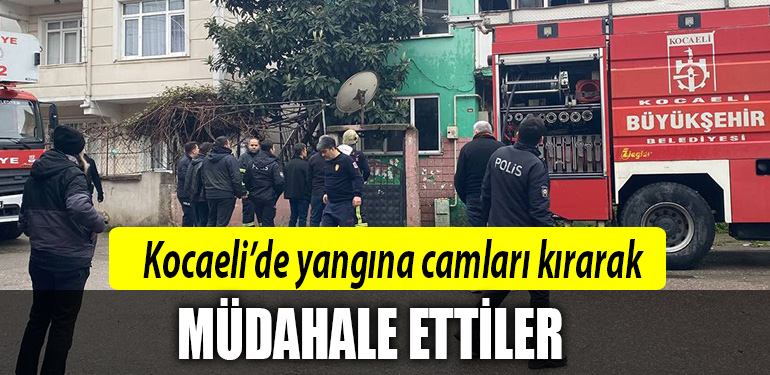 kocaeli 2