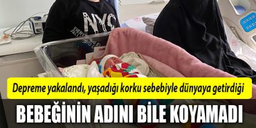 kocaeli bebel