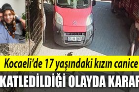 kocaeli cinayet 2
