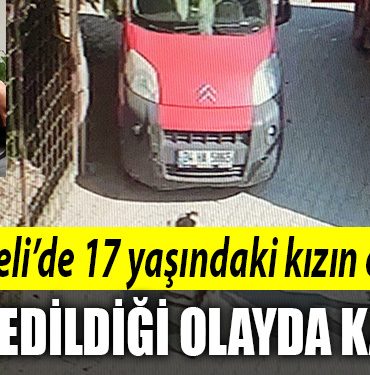 kocaeli cinayet 2