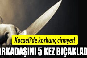 kocaeli cinayet 3