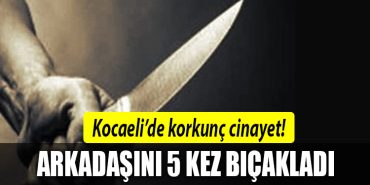 kocaeli cinayet 3
