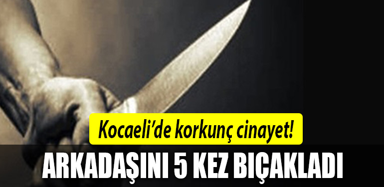 kocaeli cinayet 3