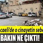 kocaeli cinayet 4
