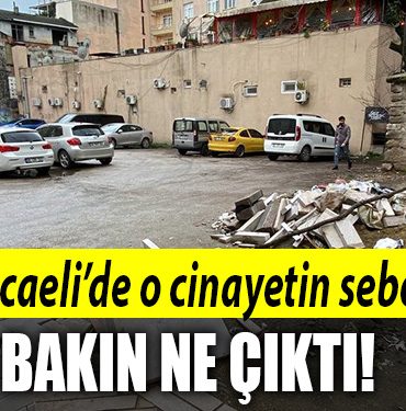 kocaeli cinayet 4